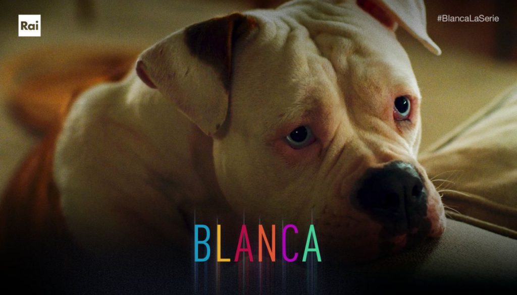 Chi E Linneo Il Cane Della Fiction Blanca Razza Vero Nome Newsby