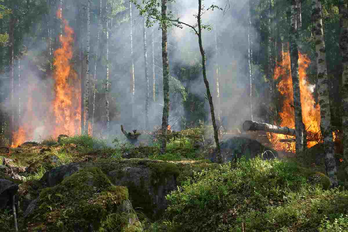 Incendi causati dal cambiamento climatico