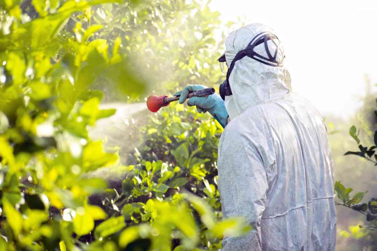 regione lazio lotta pesticidi