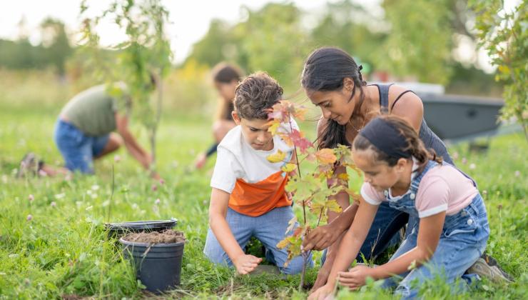 cause ecoansia bambini