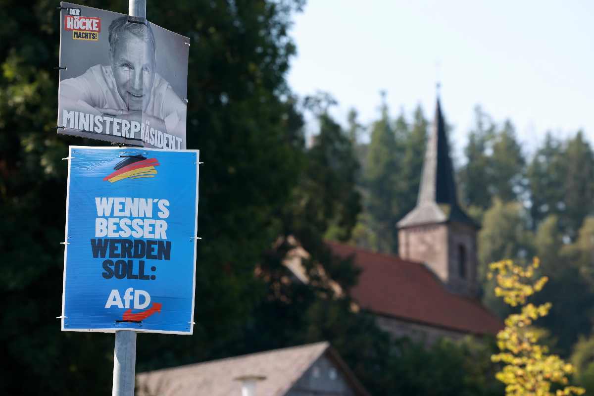 AfD partito estrema destra