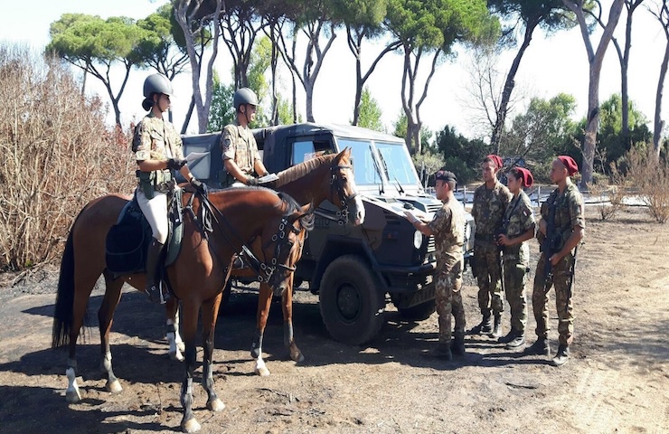 L’Esercito Italiano sta chiudendo il suo storico allevamento di cavalli